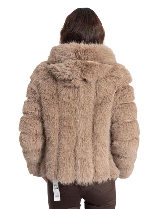  GIO' CELLINI | EP050MO